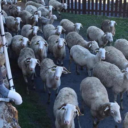 La Grange Des Quatre Saisons Dağ evi Gouaux-de-Luchon
