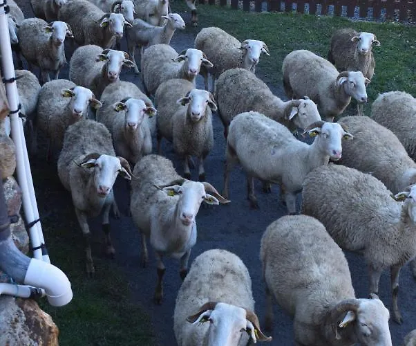 La Grange Des Quatre Saisons Dağ evi Gouaux-de-Luchon