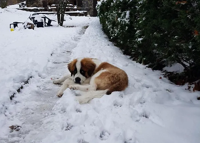 La Grange Des Quatre Saisons Dağ evi Gouaux-de-Luchon